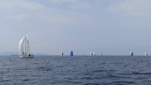 Γουρουνόπουλο 2021