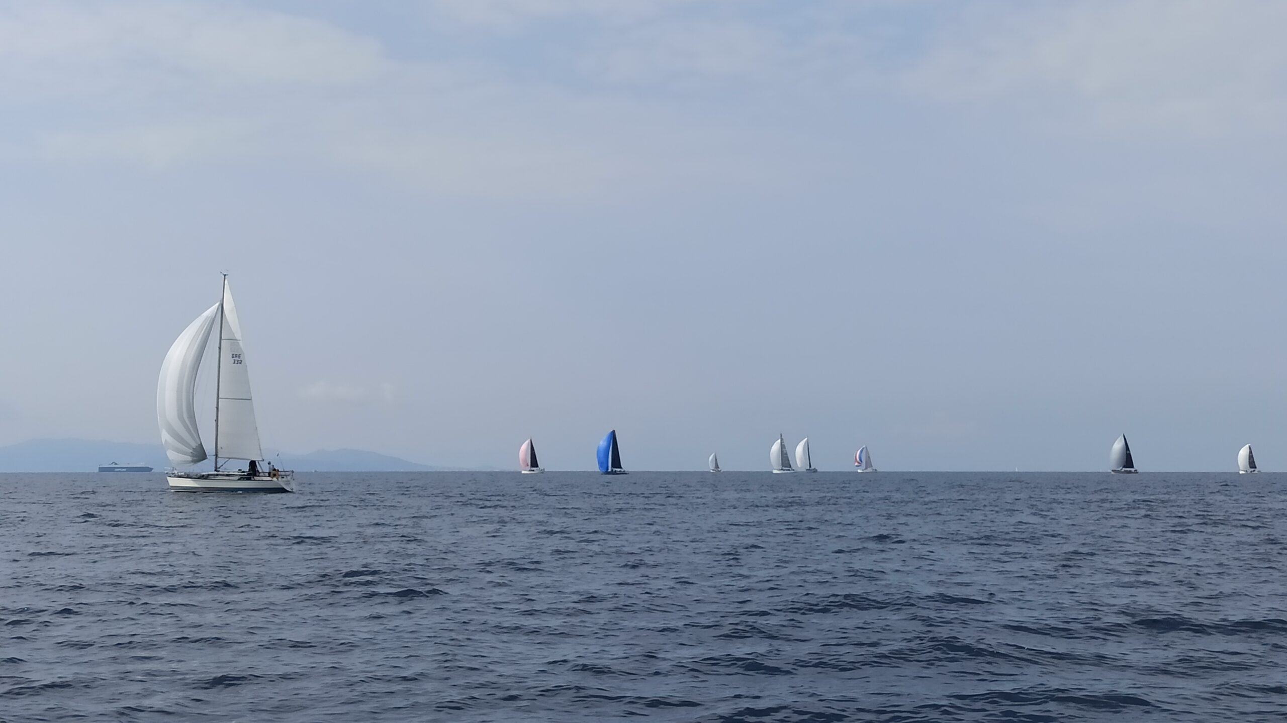 Γουρουνόπουλο 2021