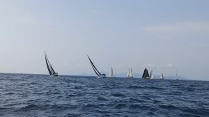 Γουρουνόπουλο 2021